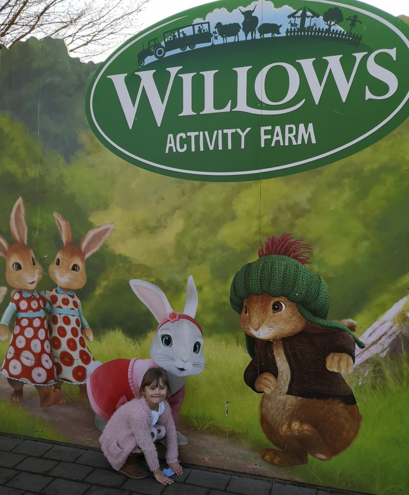 Willows Activity Farm