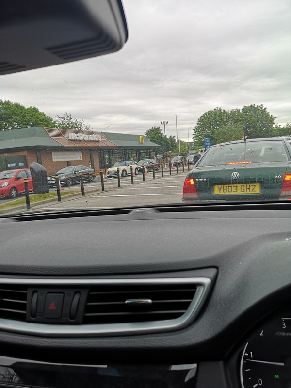 50013166588_b391eb625a_c